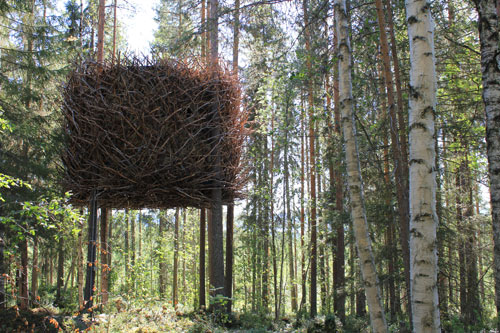 tree hotel birds nest 1