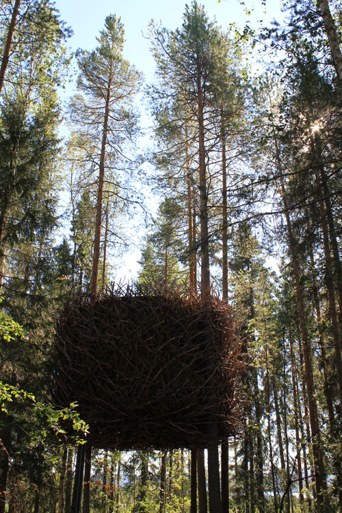 tree hotel birds nest 2