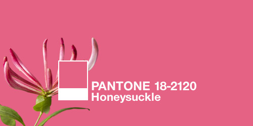 PANTONEs 2011 Color of the Year