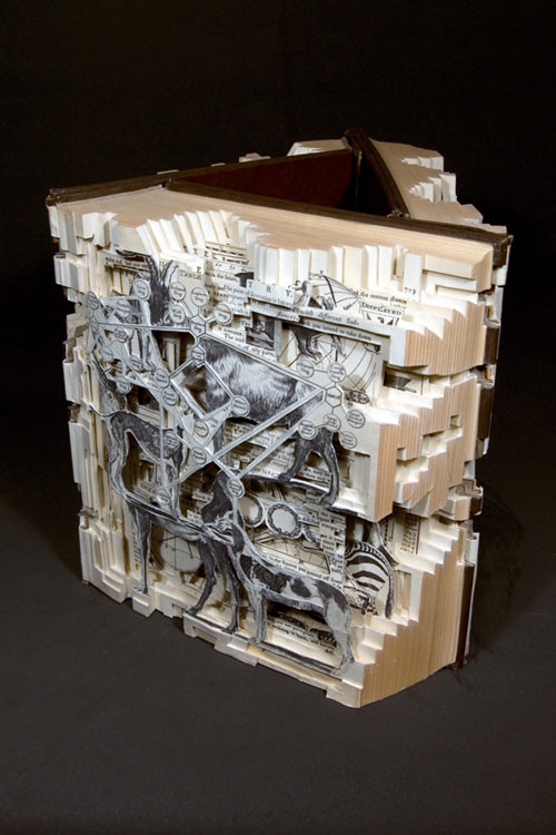 Altered Books by Brian Dettmer