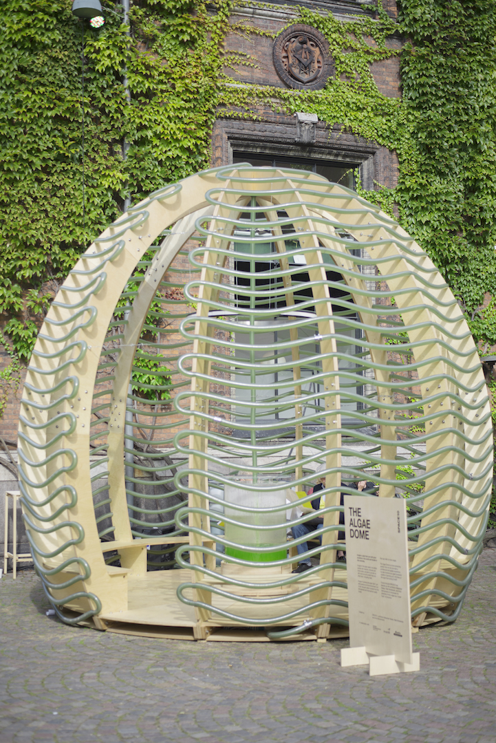 SPACE10?s Algae Dome Can Potentially Solve the World?s Biggest Problems
