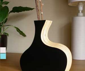 Cool Curved Vase