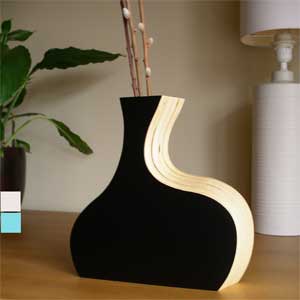 Cool Curved Vase