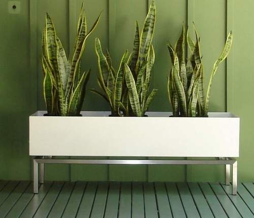 Modern Planter Box