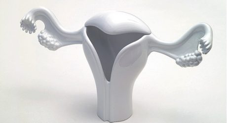 Uterus Vase