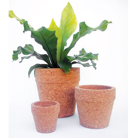 Vaso 2.0 Cork Pot