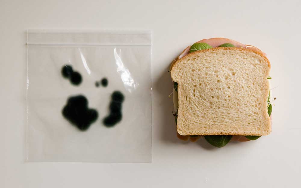 Anti-Theft Lunch Bag