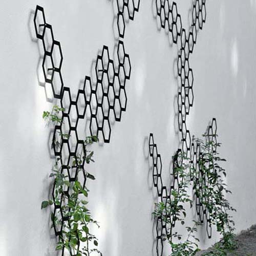 Use that Wall: The Trellis Re-invents Itself