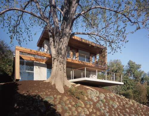 Tree House in California by Standard
