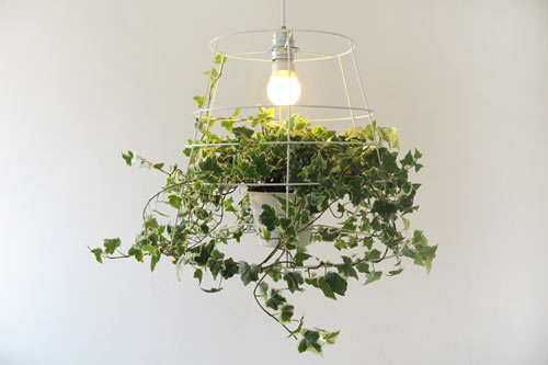 Photosynthesis Lamp by Meirav Barzilay