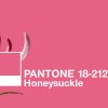PANTONE’s 2011 Color of the Year
