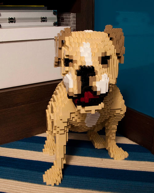 Lego pitbull store