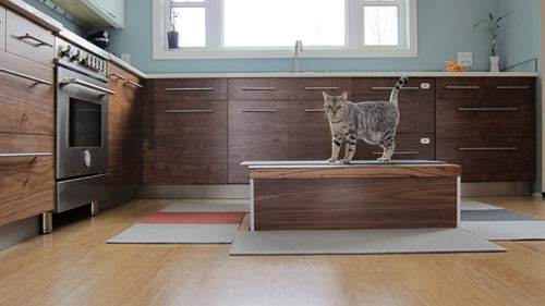 A Motorized Kitchen Island