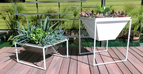 Haskell's New Trapa Planters
