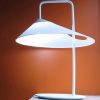 Asymmetrical Oval Lamp by Ran Lerner