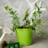 Green Kit Gardening Collection by Bubble Design