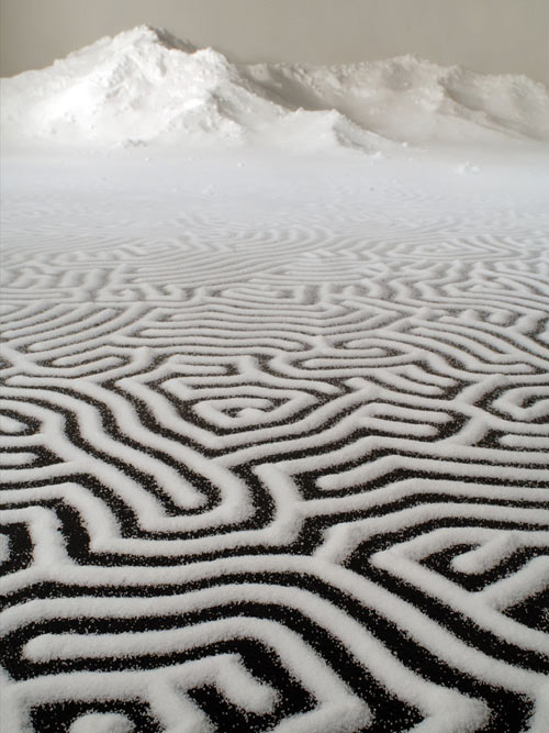 motoi yamamoto