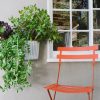 Living Wall Planter by Woolly Pocket