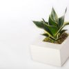 Modern Concrete Planters by Kevin Wood