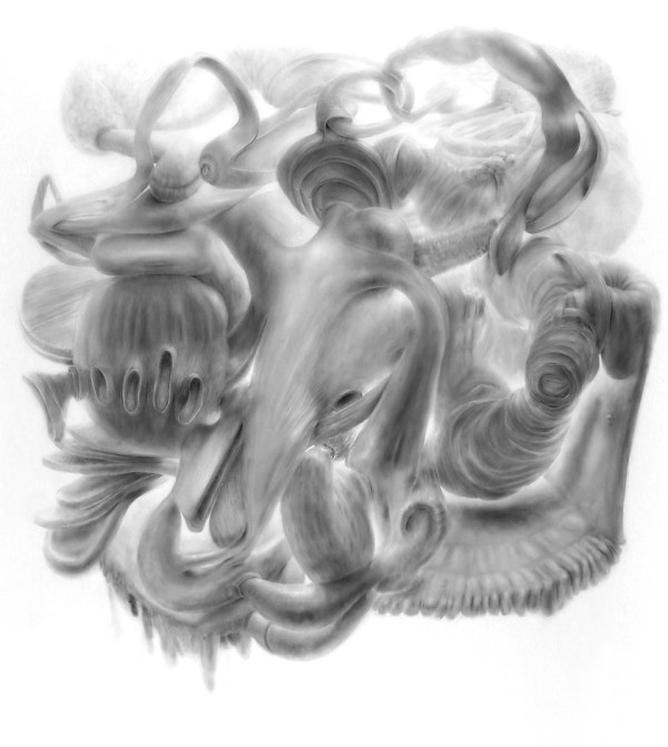 Vumb, powdered graphite on mylar, 60" x 48", 2010