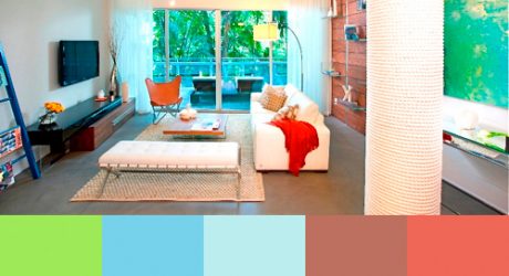 Zippy Color Palettes from DKOR Interiors