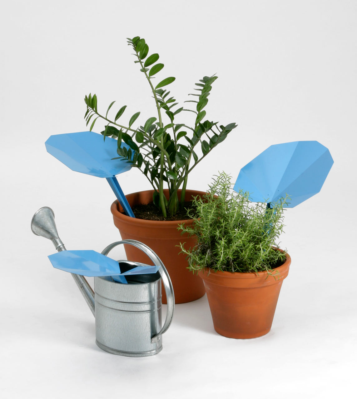 reLEAF Rainwater Collector for Teracrea