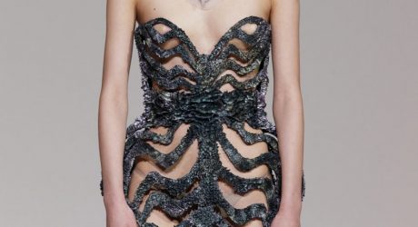 Dresses Grown with Magnets