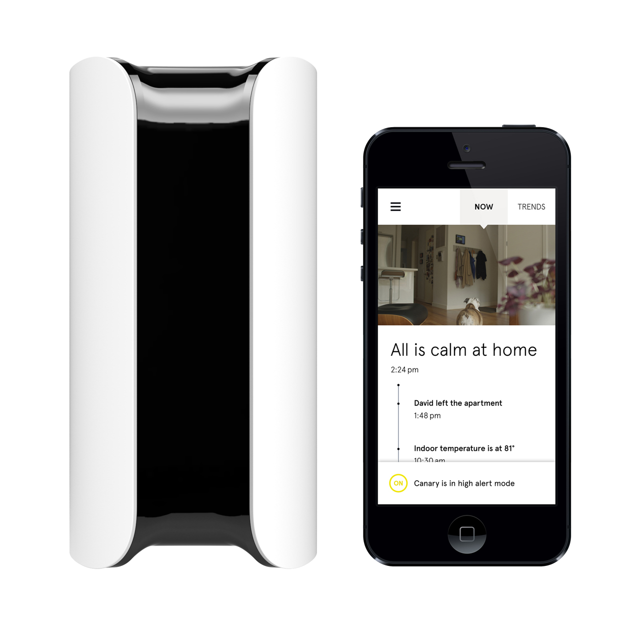 Canary: A Smart Home Security Device for Everyone