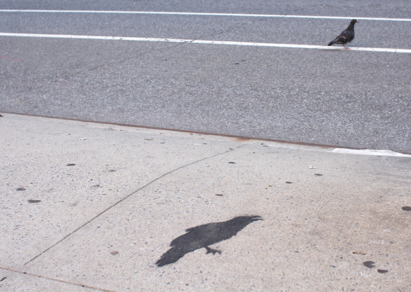 chelsea_sidewalks_8_raven