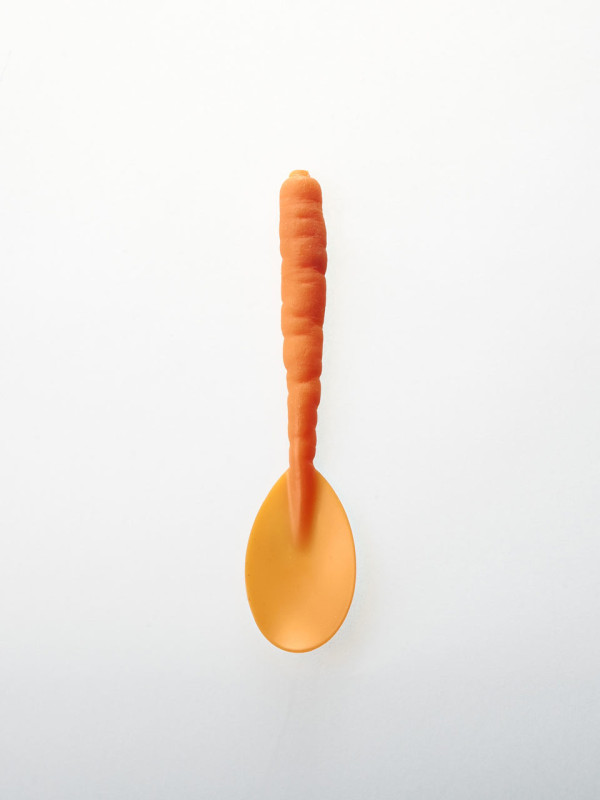 graft-plant-cutlery-5-teaspoon-carrot