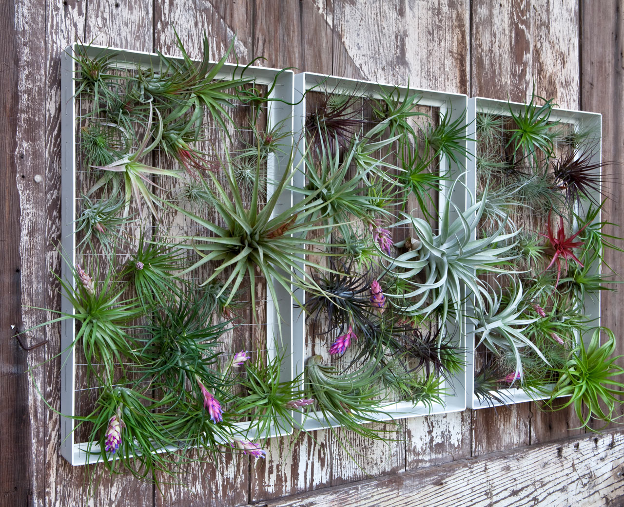 Outdoor Wall Art {DIY}  Outdoor wall art diy, Outdoor wall decor, Outdoor  wall art