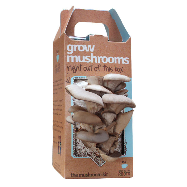 grow-mushrooms-kit