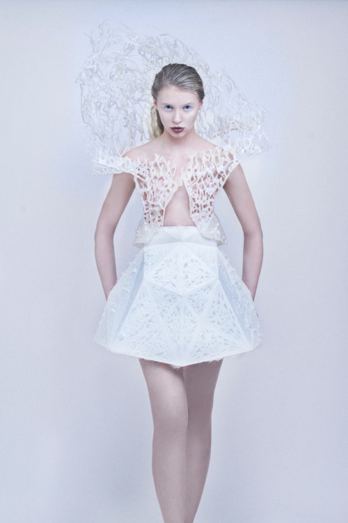 3D Printed Dress You Can Print at Home with MakerBot - Design Milk