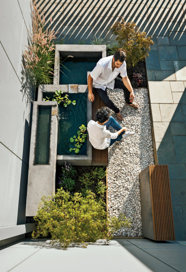 modern water garden