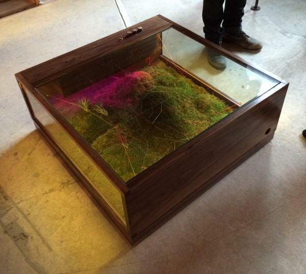 huy-bui-table-terrarium