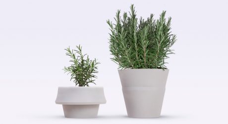 A Pot that Grows with Your Plant