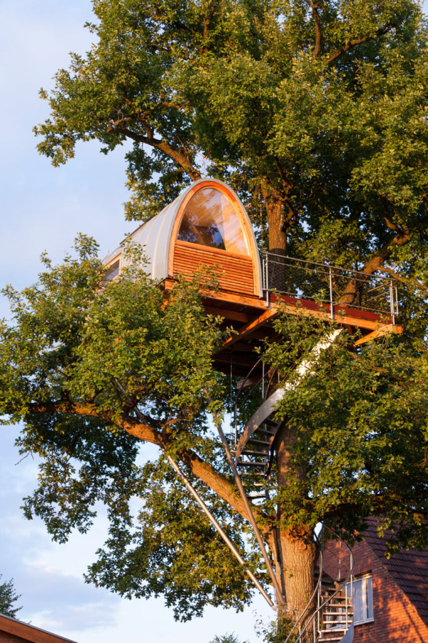 baumraum-Treehouse-Around-the-Oak-3