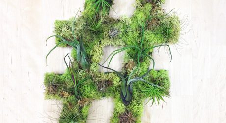 Plant Wall Art by Art We Heart