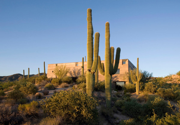 Desert-Courtyard-Wendell-Burnette-Architects-17
