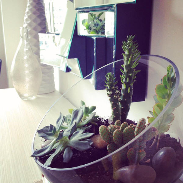 Tips And Tricks For Using Plants In Modern Interior Design