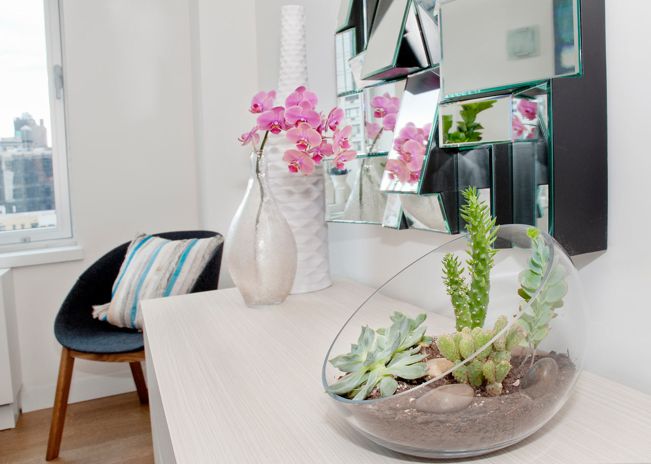 Tips and Tricks for Using Plants in Modern Interior Design