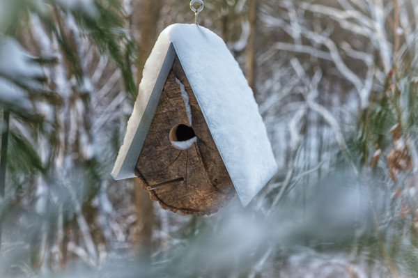 Log-Quarted-Birdhouse-Moger-Mehrhof-Architects-9