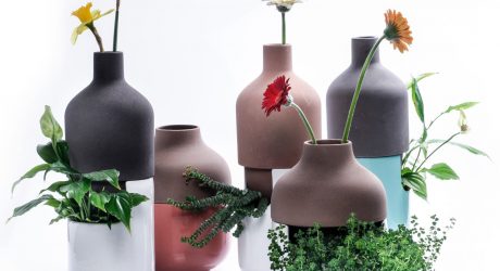 A Two-Part Vase for Both Leafy Plants and Tall Flowers