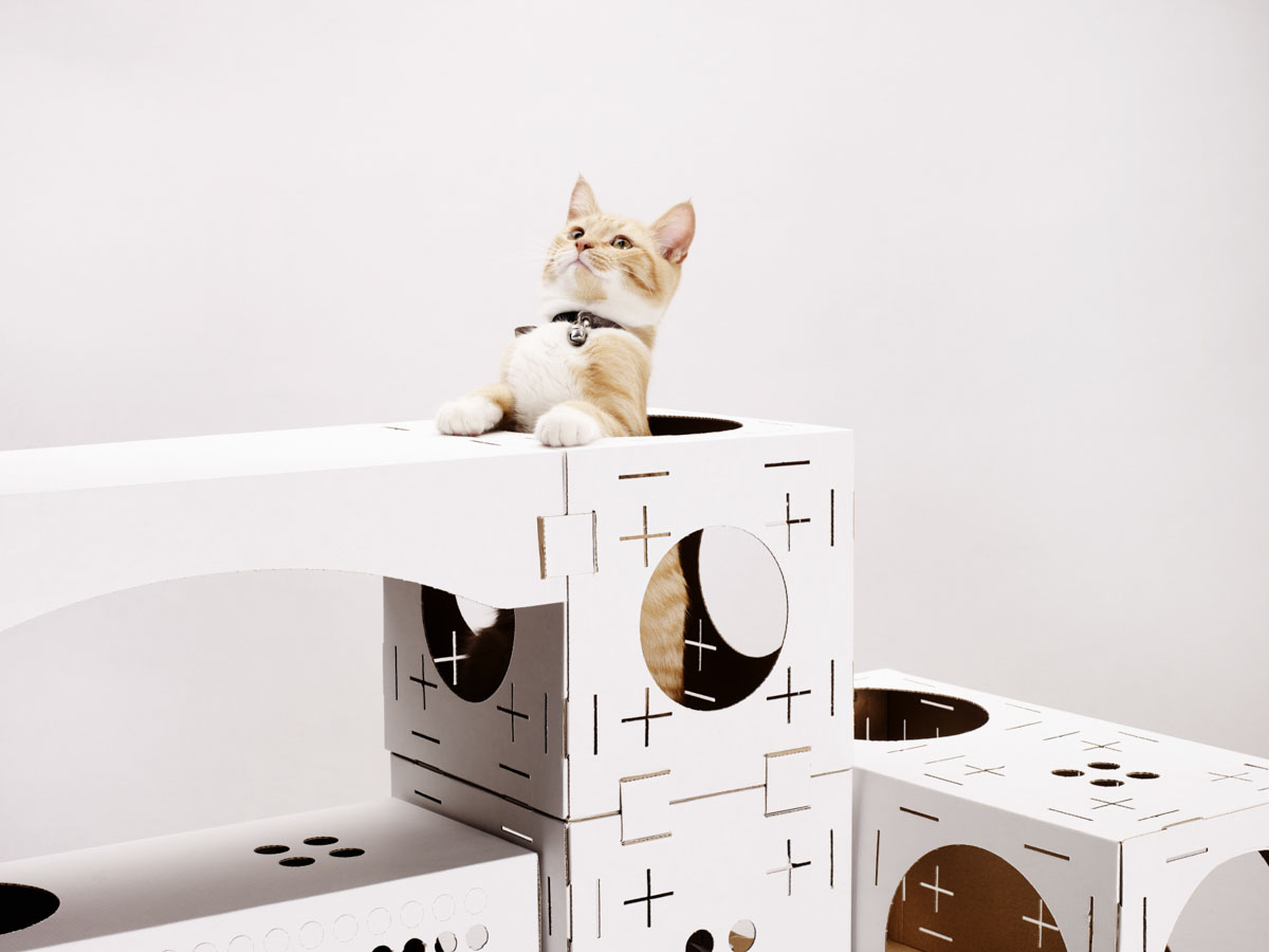Be a Cat Playhouse Architect with BLOCKS