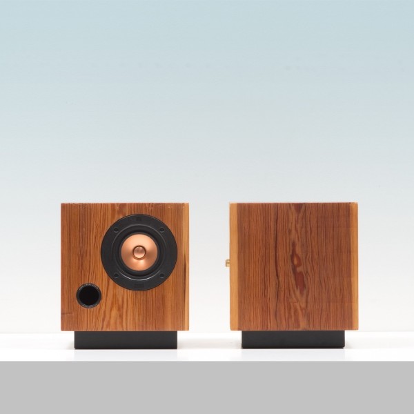 Fern_and_Roby-cubespeakers-02