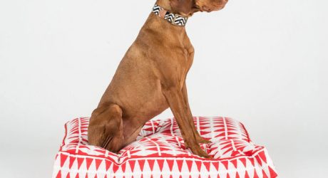 Artisanal, Bohemian Beds and Collars from Fillydog