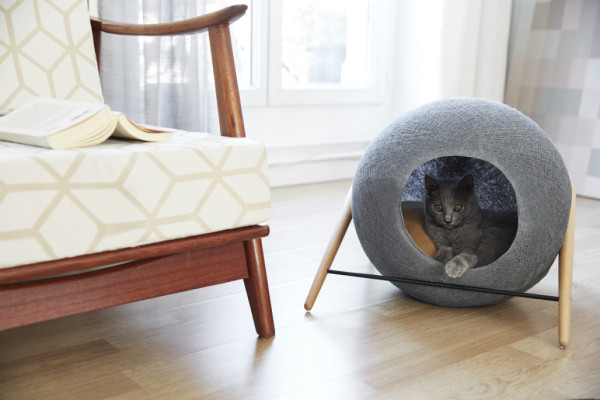 classy cat furniture