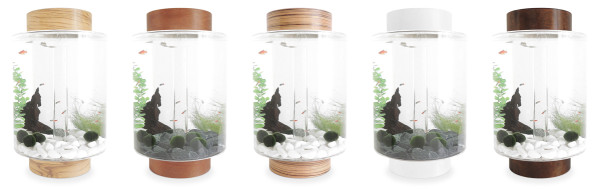 5 Norrom Aquarium Combinations