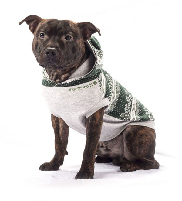 Happy-Pooch-handmade-dog-leads-collars-apparel-6