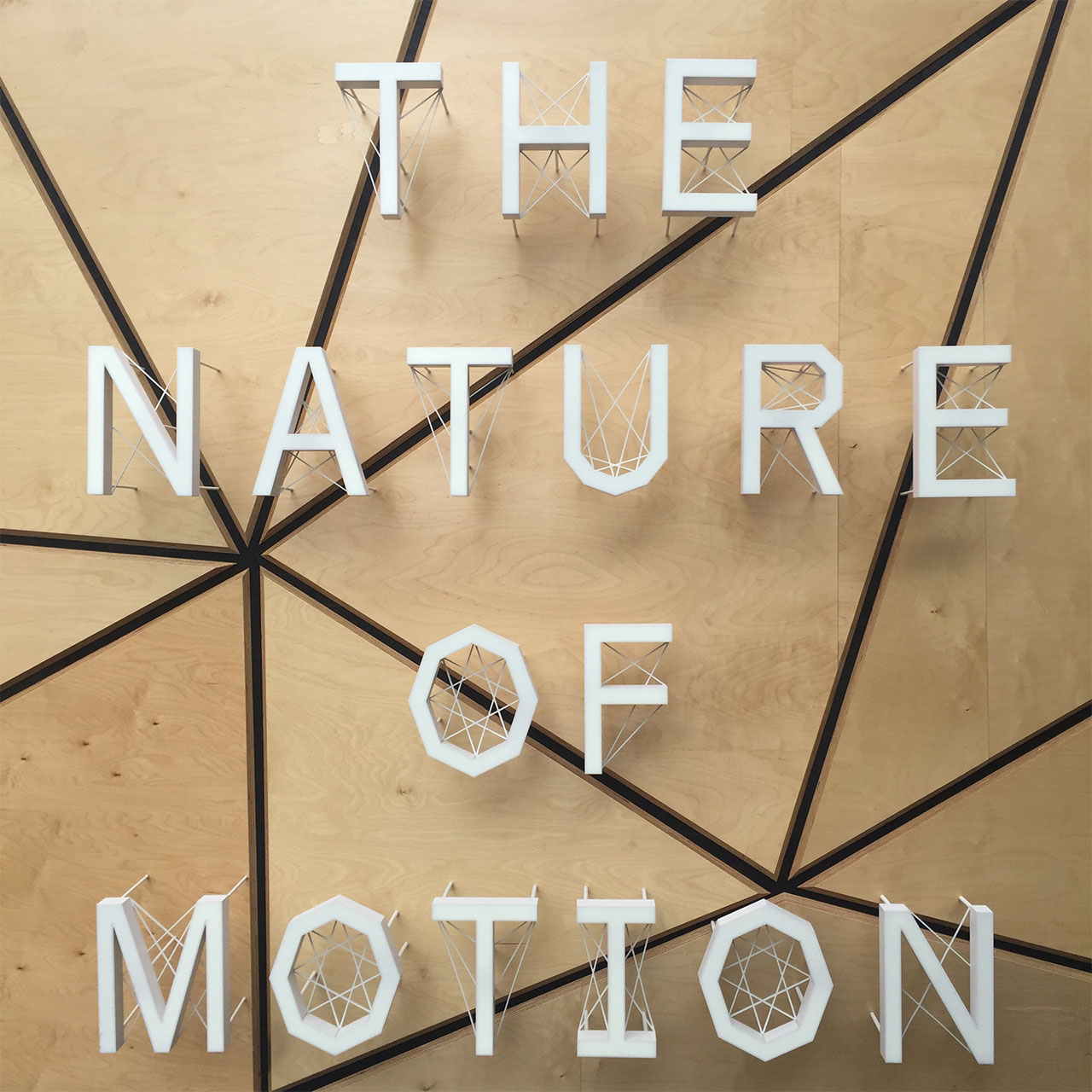 MDW16: The Nature of Motion